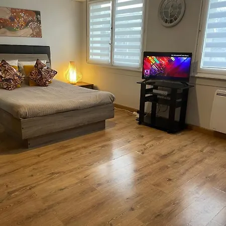 Adorable Avec Un Parking Prive Daire Strazburg