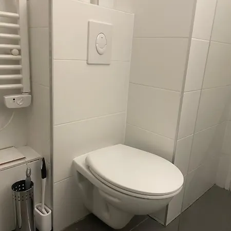 Adorable Avec Un Parking Prive * Strazburg